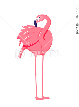 Pink flamingo vector illustration isolated on white background. 102321408