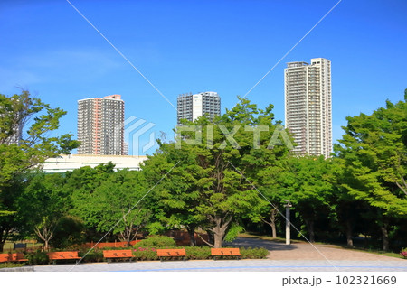 青空と集合住宅 青空と集合住宅 102321669