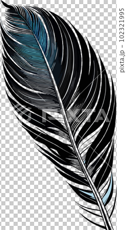 black and blue decorative bird feather without background, isolated element, decor 102321995
