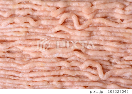 Fresh minced chicken with salt, spices and herbs on a wooden cutting board Fresh minced chicken with salt, spices and herbs on a wooden cutting board 102322043