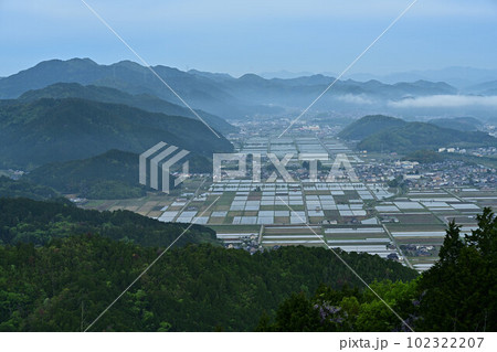 八上城からの眺望 八上城からの眺望 102322207