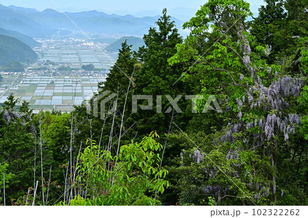 八上城からの眺望 八上城からの眺望 102322262