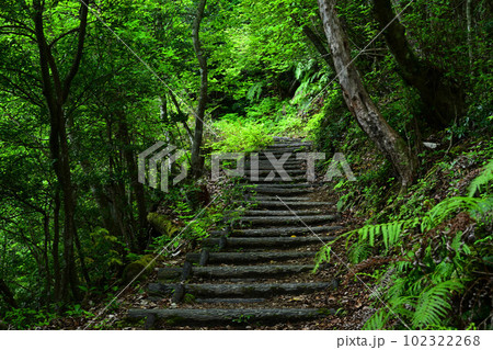 八上城より 八上城より 102322268