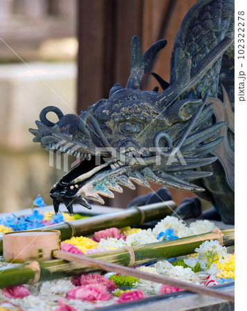 龍の水口と花手水 102322278