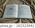 洋書と指輪、（ふんわりしたかわいい読書ライフスタイルのイメージ） 102323042