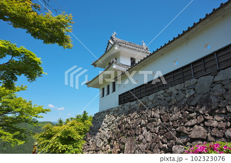 日本最古の木造再建城とされる郡上八幡城 日本最古の木造再建城とされる郡上八幡城 102323076