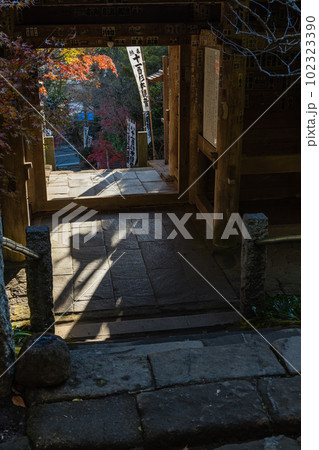 日本　神奈川県鎌倉市にある杉本寺の山門と紅葉 102323390