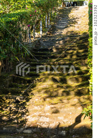 日本 神奈川県鎌倉市にある杉本寺の苔の階段 日本 神奈川県鎌倉市にある杉本寺の苔の階段 102323392