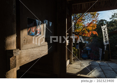 日本 神奈川県鎌倉市にある杉本寺の山門と紅葉 日本 神奈川県鎌倉市にある杉本寺の山門と紅葉 102323400