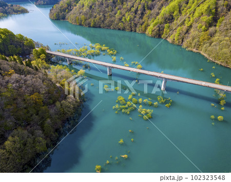 秋扇湖の水没林 秋扇湖の水没林 102323548