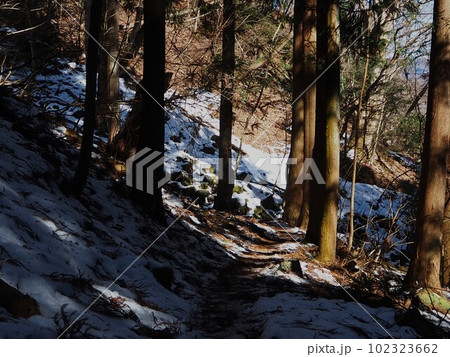 高畑山の山道 102323662