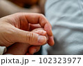親子の手（新生児） 102323977