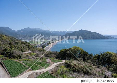 千々石展望台からの眺望 102324055