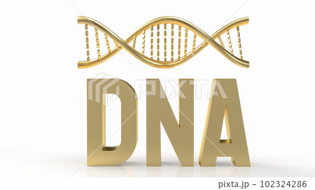 The Gold dna on white Background for sci or medical concept 3d rendering 102324286