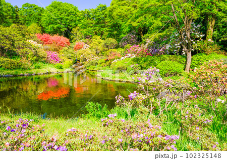 花のリフレクション1 花のリフレクション1 102325148