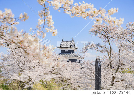 福島　白河小峰城跡 102325446
