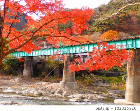 川と線路と紅葉 102325510
