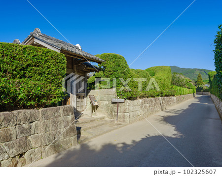 鹿児島_知覧武家屋敷の風景 鹿児島_知覧武家屋敷の風景 102325607