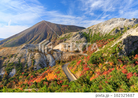 福島_紅葉する磐梯吾妻スカイライン 102325687
