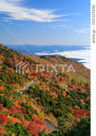 福島_紅葉する磐梯吾妻スカイライン 102325692