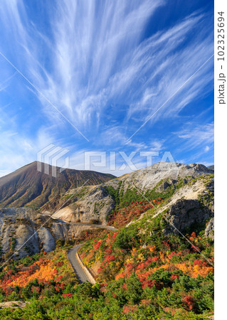 福島_紅葉する磐梯吾妻スカイライン 102325694