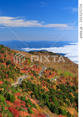 福島_紅葉する磐梯吾妻スカイライン 102325714