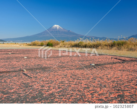 静岡_桜えびと富士山の絶景(富士川緑地公園) 静岡_桜えびと富士山の絶景(富士川緑地公園) 102325807