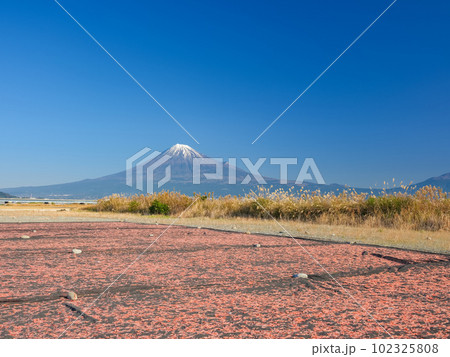 静岡_桜えびと富士山の絶景(富士川緑地公園) 静岡_桜えびと富士山の絶景(富士川緑地公園) 102325808