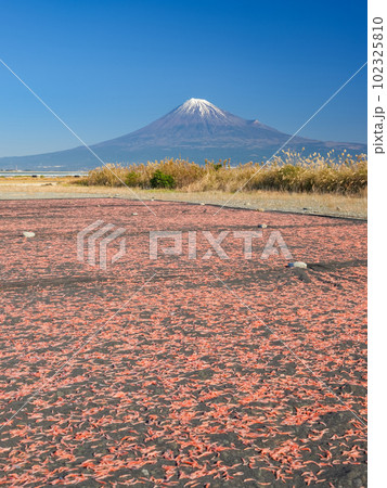 静岡_桜えびと富士山の絶景（富士川緑地公園） 102325810