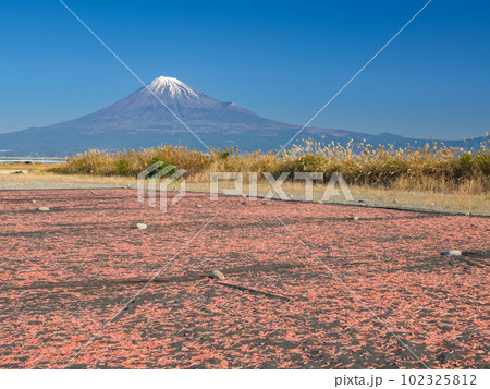 静岡_桜えびと富士山の絶景（富士川緑地公園） 102325812