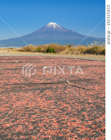 静岡_桜えびと富士山の絶景（富士川緑地公園） 102325815