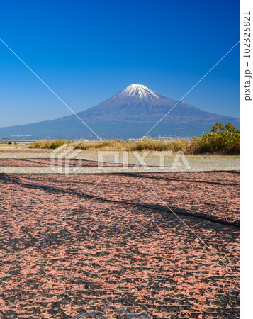 静岡_桜えびと富士山の絶景（富士川緑地公園） 102325821