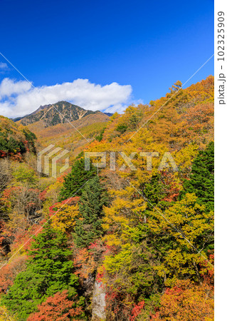 山梨_東沢橋から見る八ヶ岳と紅葉の絶景 山梨_東沢橋から見る八ヶ岳と紅葉の絶景 102325909