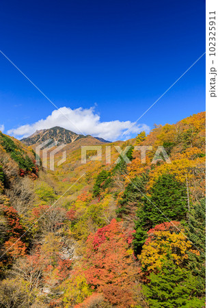 山梨_東沢橋から見る八ヶ岳と紅葉の絶景 山梨_東沢橋から見る八ヶ岳と紅葉の絶景 102325911