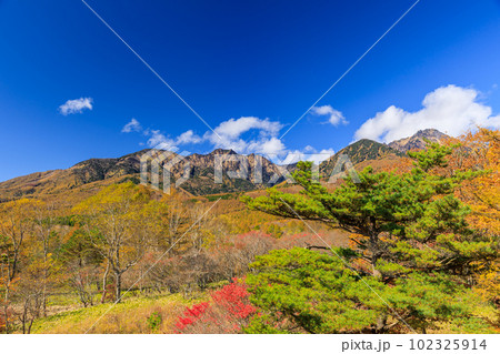 山梨_東沢橋から見る八ヶ岳と紅葉の絶景 山梨_東沢橋から見る八ヶ岳と紅葉の絶景 102325914