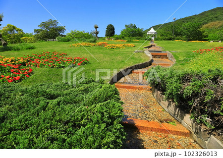 【兵庫県】晴天の国営明石海峡公園の風の丘（キンセンカ） 102326013