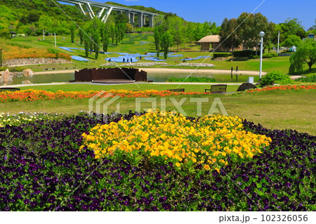 【兵庫県】晴天の国営明石海峡公園の大地の虹 102326056