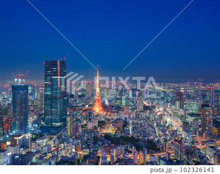 東京_冬色の東京タワーライトアップと大都会の絶景夜景風景 102326141