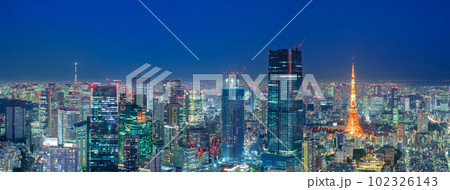 東京_冬色の東京タワーライトアップと大都会の絶景夜景風景 102326143