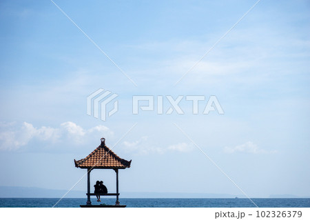 海辺でイチャつくカップルのシルエット 海辺でイチャつくカップルのシルエット 102326379