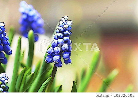 パステル調　”青紫の可愛い花”ムスカリ””　イラストイメージ 102326503