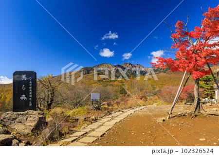 山梨_清里美し森の紅葉絶景 102326524