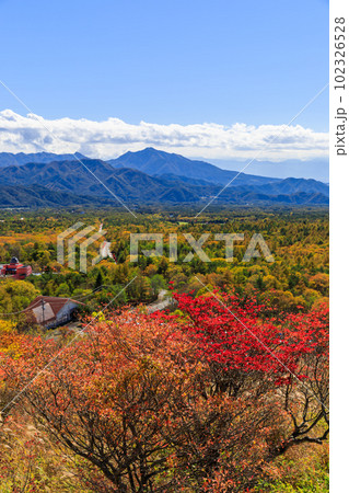 山梨_清里美し森の紅葉絶景 山梨_清里美し森の紅葉絶景 102326528