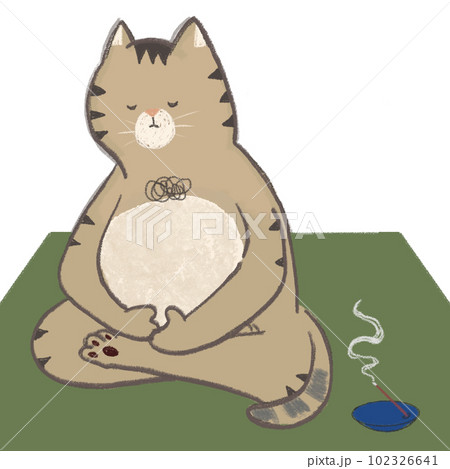 瞑想する猫 ヨガ マインドフルネス 坐禅のイラスト素材 [102326641
