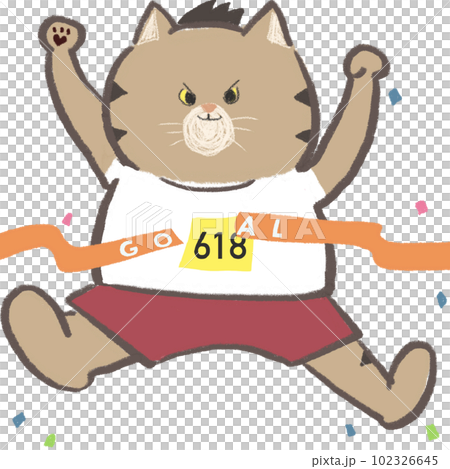 馬拉松運動員到達目標 貓切割目標帶 目標 102326645