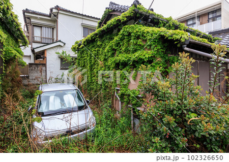 蔦の絡まった空家と放置された自動車 102326650