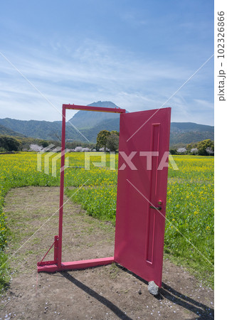 しまばら火張山花公園 - 旧しまばら芝桜公園 102326866