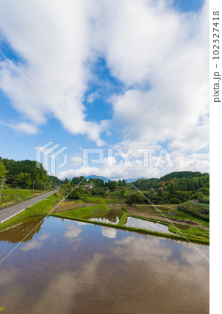 水田と反射（大分県竹田市）【5月】 102327418