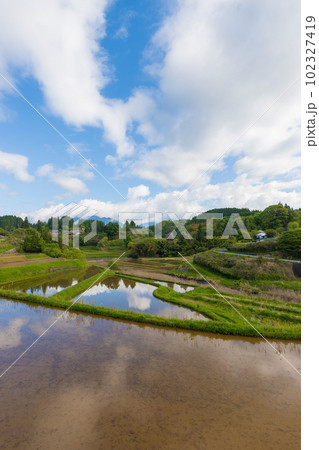 水田と反射(大分県竹田市)【5月】 水田と反射(大分県竹田市)【5月】 102327419