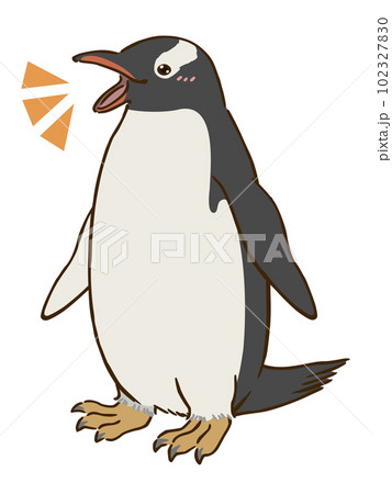 油彩画 ジェンツーペンギン ジェンツーペンギン | 生きもの図鑑 | 生きものを知る | 海遊館